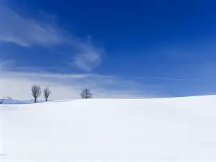 オススメちゃん tweet media