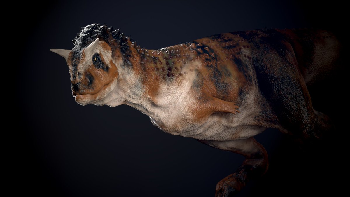vankev's tweet image. Day 20 : Carnotaurus

#Dinovember #paleoart #zbrush