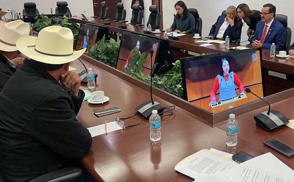SenadoPRI's tweet photo. En el @SenadoPRI escuchamos a representantes del Frente Nacional para el Rescate del Campo y de la Asociación Transportista, quienes expusieron la crisis que enfrenta el campo y las carreteras del país.

La senadora @Mely_Romero y el senador @angelgarciaya refrendaron algo claro: no se debe criminalizar a quienes exigen seguridad, certidumbre y respuesta.

Desde el @PRI_Nacional acompañamos sus demandas. El campo y el transporte no están solos. 🇲🇽