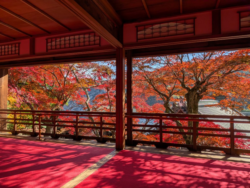 京都 長岡京の山あいに佇む祈りと癒しの聖地「楊谷寺」をご案内♪｜雅京都観光 <a href="/miyabi4949/">雅京都観光</a> note.com/miyabi4949/n/n…