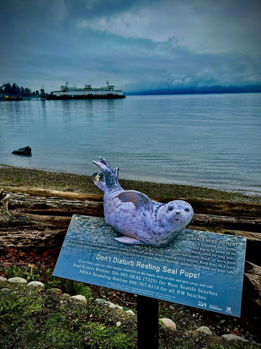 A brisk, cool day in West Seattle today but I got in a beach tidal area litter clean-up at Lincoln Park. 5-gallon bucket of plastic based products retrieved but it isn't the plastic that's the problem, it's the folks tossing  them into Puget Sound.