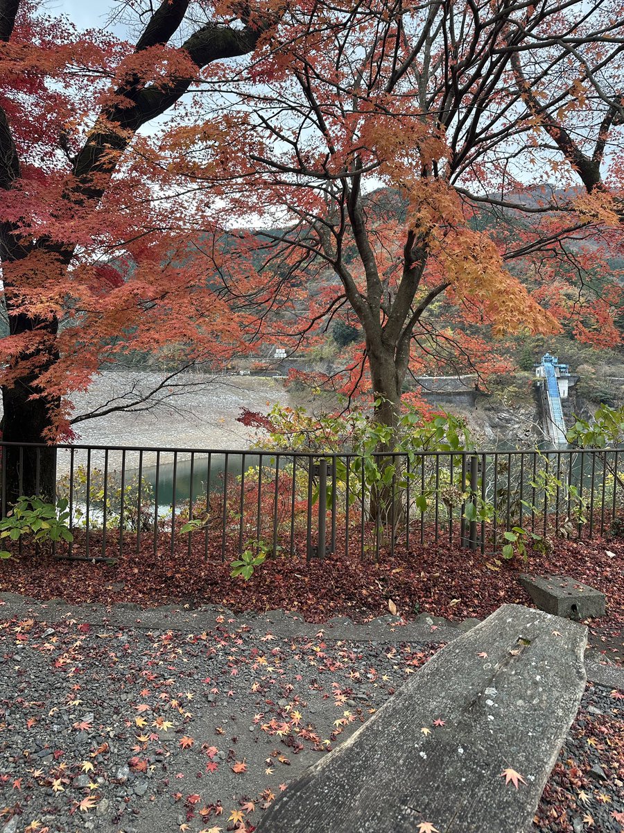 今日は友達4人で有給取って小旅行🍁