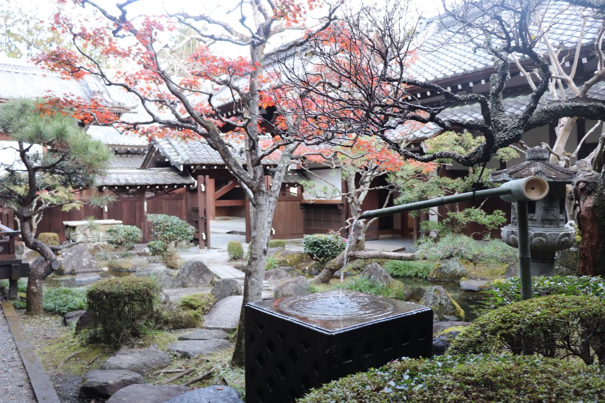 homa_nyanpath's tweet photo. 日光と那須に旅行に行ってきた！
紅葉🍁と江戸と牛乳を一緒に楽しめて最高じゃった… https://t.co/Pypz5EYISt