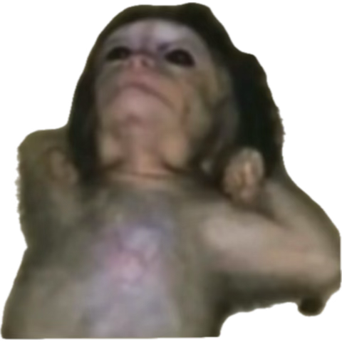 SamBortex's tweet image. Ya parezco bobby pulido 🥲
Voy desvelada y sin ❤️