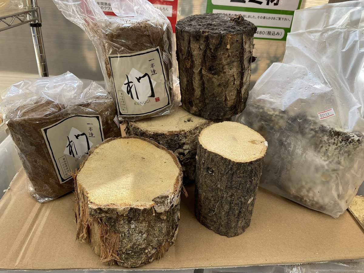 取り扱い中の 産卵材 です！ どれをとっても個性的です 一度絶版になっ