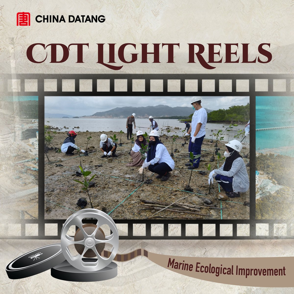 PT Datang DSSP Power Kendari, in collaboration with local departments, launched the “Guardians of the Ocean” initiative. They have transplanted over 1,400 coral reefs to preserve marine biodiversity and planted 32,000 mangrove seedlings, which absorb 2,200 tonnes of CO₂