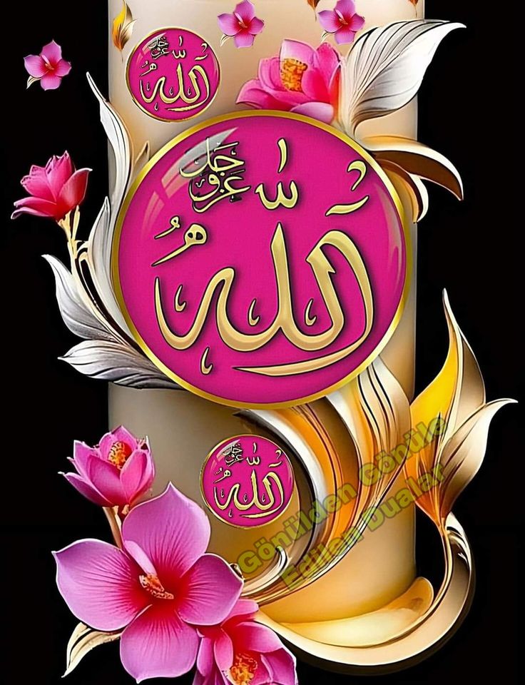 💖السّلَامُ عَلیکمُ وَرَحــَـــــمةُاللّهِ وَبَرَكَآتُهُ 💖

💞صبـــح بخـــیر ایمان بخیر 💞

💟خوبصورت زندگی خود بخود نہیں بن جاتی بلکہ اس کی تعمیر دعاؤں سے ہوتی ہے 🥀