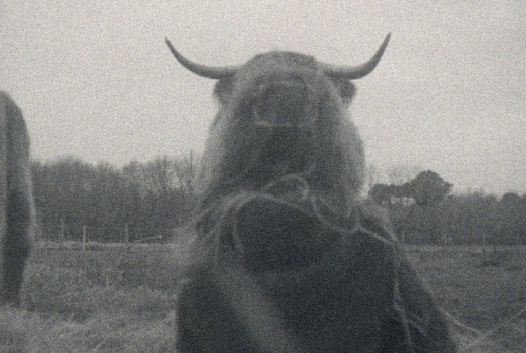 cinergiaonline's tweet photo. Seis días a puro cine analógico. FESTIVAL INTERNACIONAL DE CINE INFINITO SUPER 8: https://t.co/Z36B1Oc4xE https://t.co/xNrJaDo0Zx
