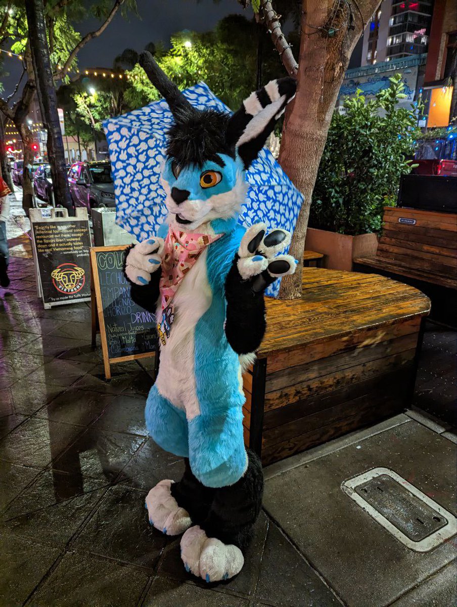 TailTuft 🐰🍑🔞 tweet media