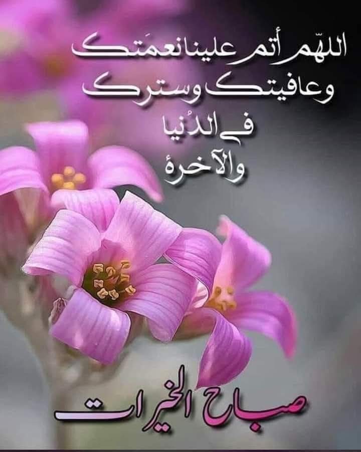محمدفارع محمد2 tweet media