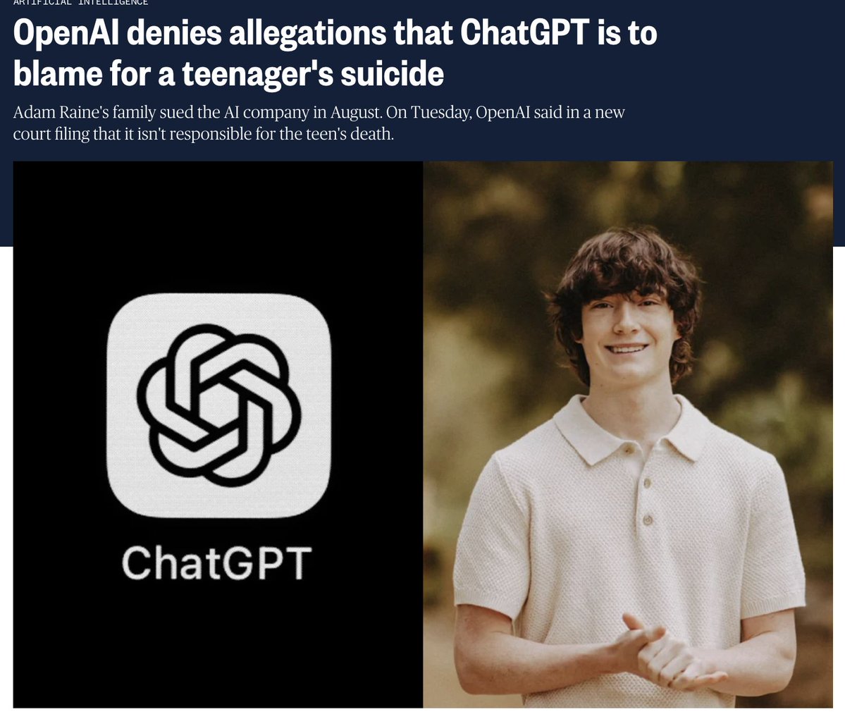 Teen suicide liability article