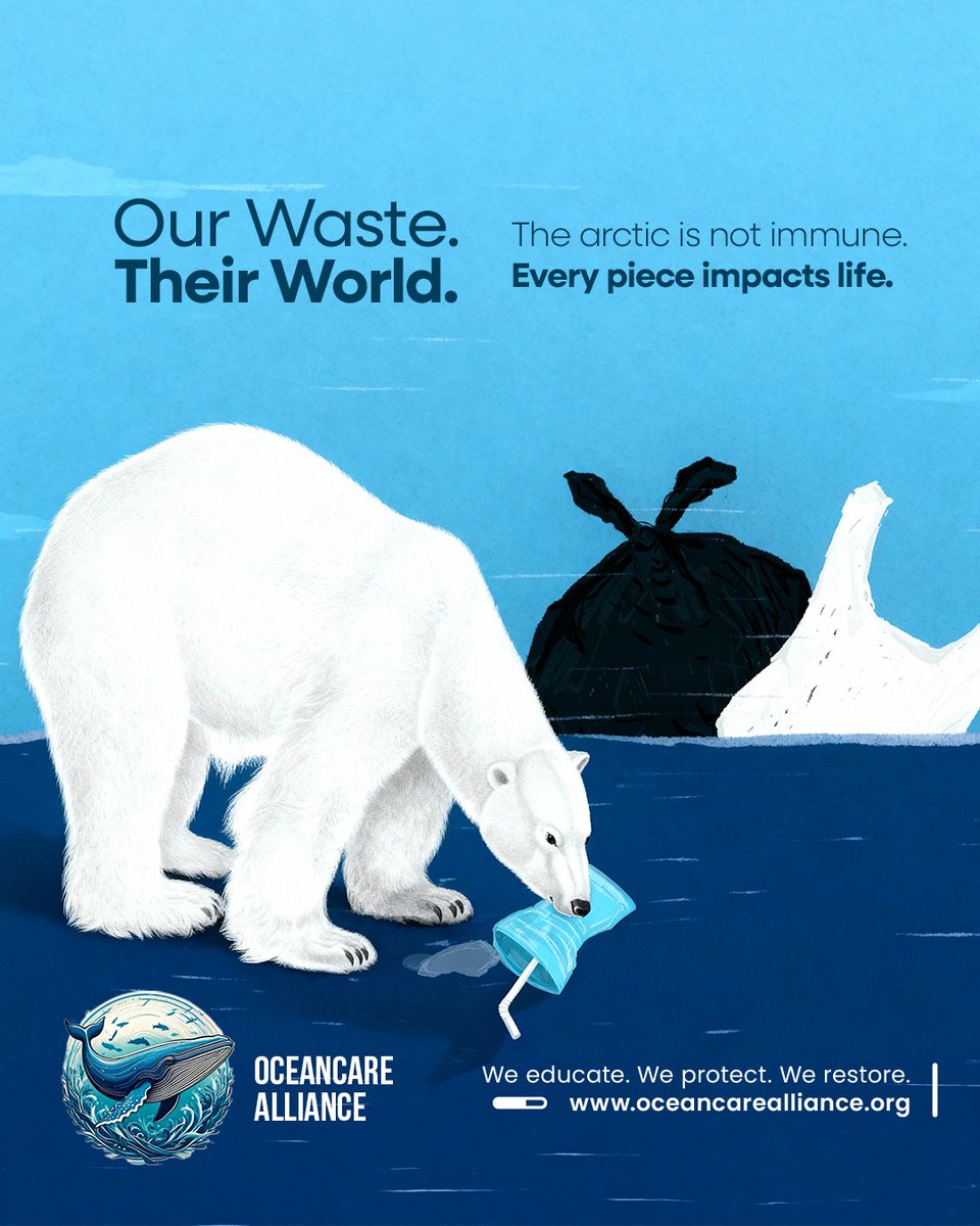 oceancareallnc's tweet photo. 💔 Our Waste. Their World.

Even the Arctic isn’t safe from plastic. Our carelessness threatens the polar bear’s fragile home.

We must protect what remains.
We educate. We protect. We restore.

#polarbear #arcticpollution #ourwastetheirworld #oceancarealliance #globalimpact https://t.co/uUHjUjM3Rb