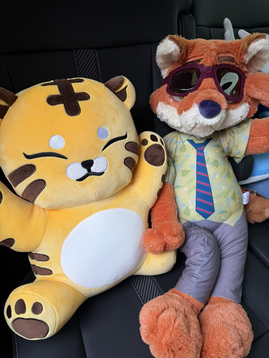 maru🐹🐯🌟 tweet media