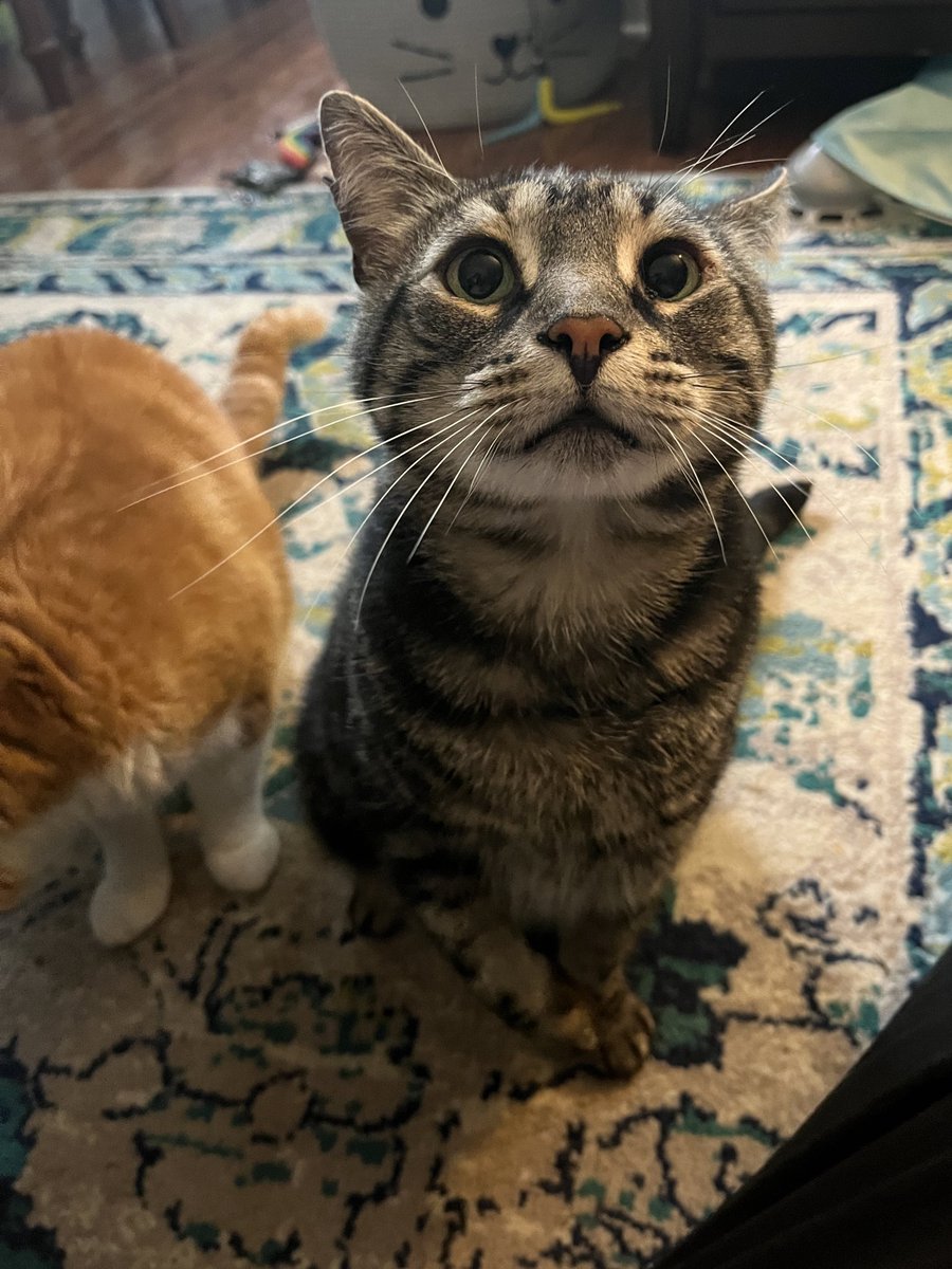 how it started vs how its going! 3 years ago today, fish dad and i got the best black friday deal of all