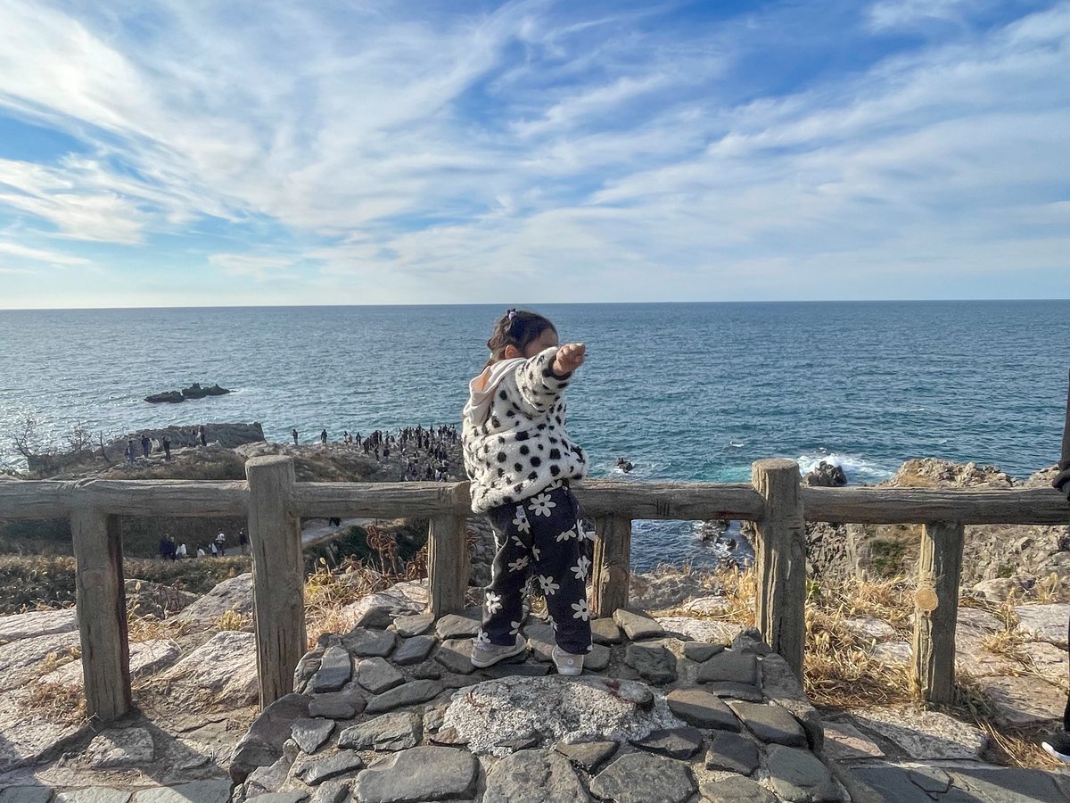 hachinotakara's tweet image. おはっち🐝

晴れの江戸川区☀️

初めての福井県へ行ってきました！
福井といえば恐竜🦖

恐竜博物館と東尋坊へ
行ってきました☺️

とっても素敵な所でした✨

#企業公式が毎朝地元の天気を言い合う 
#企業公式秋のフォロー祭り