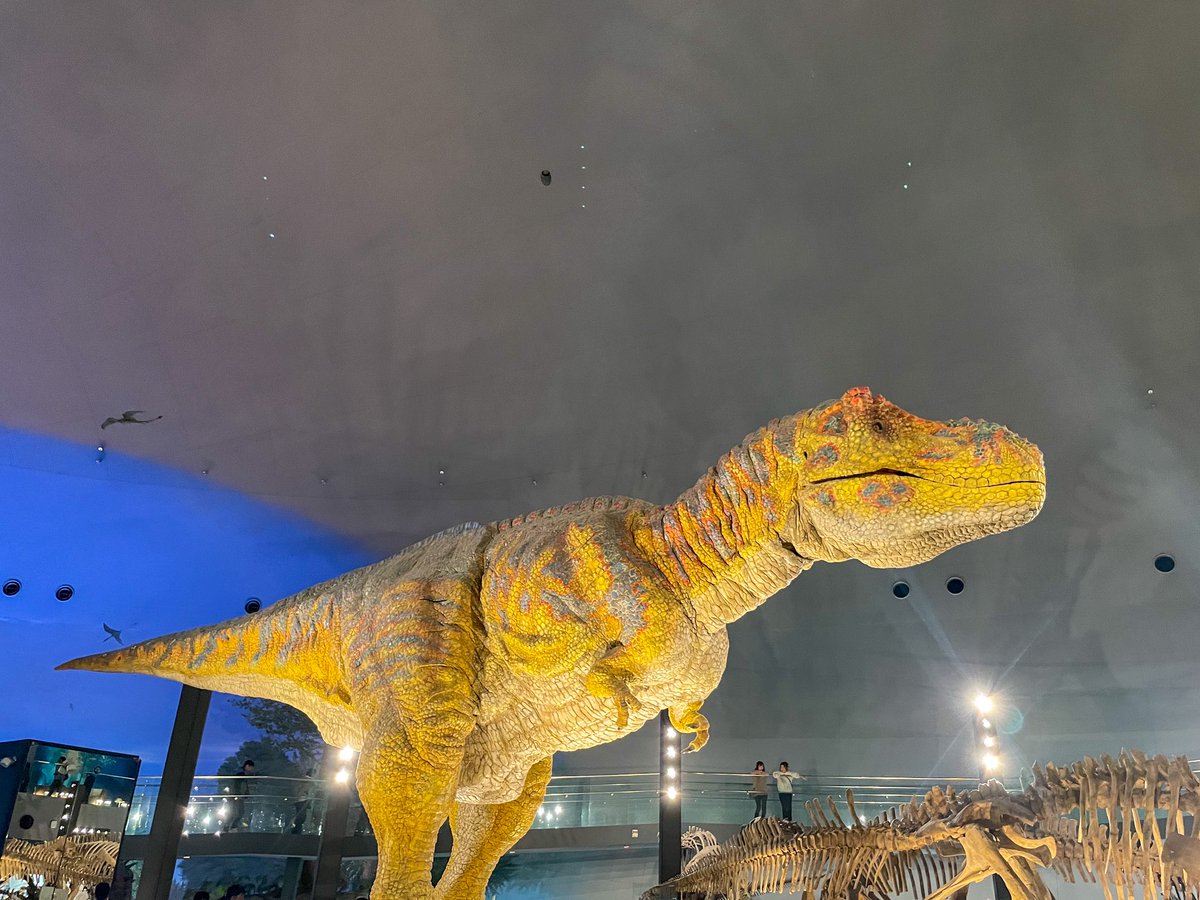 hachinotakara's tweet image. おはっち🐝

晴れの江戸川区☀️

初めての福井県へ行ってきました！
福井といえば恐竜🦖

恐竜博物館と東尋坊へ
行ってきました☺️

とっても素敵な所でした✨

#企業公式が毎朝地元の天気を言い合う 
#企業公式秋のフォロー祭り