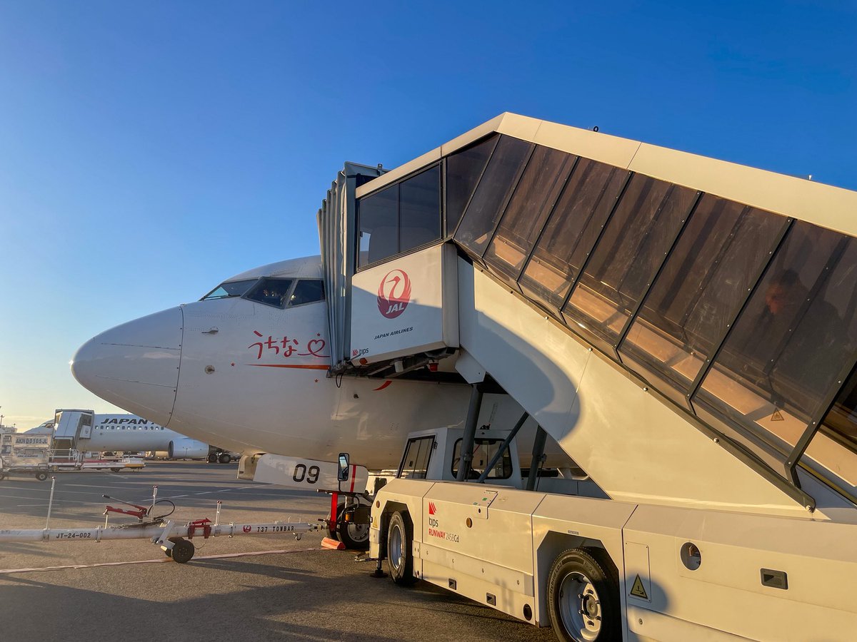 hachinotakara's tweet image. おはっち🐝

晴れの江戸川区☀️

初めての福井県へ行ってきました！
福井といえば恐竜🦖

恐竜博物館と東尋坊へ
行ってきました☺️

とっても素敵な所でした✨

#企業公式が毎朝地元の天気を言い合う 
#企業公式秋のフォロー祭り