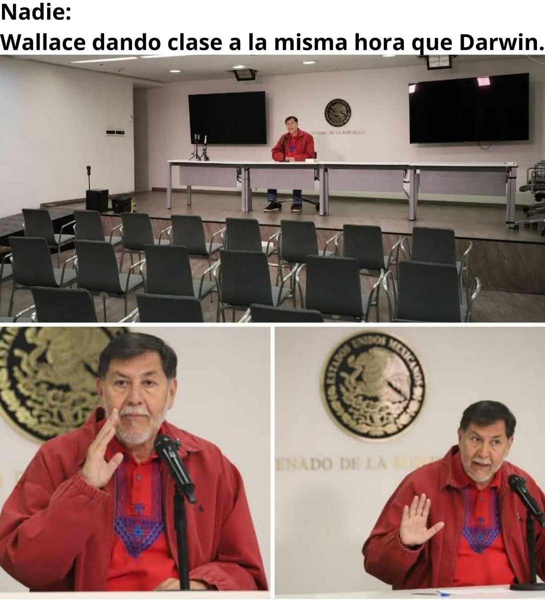 Garambuyo's tweet image. Muchas veces solemos desestimar los trabajos y aportes que hizo Alfred Russell Wallace a la biología y biogeografía. ¿Quieres saber más sobre ellos? Sígueme para más datos.
#Wallace #Darwin #evolución #Evolution #selecciónnatural #naturalselection #biología #biology #biogeografía