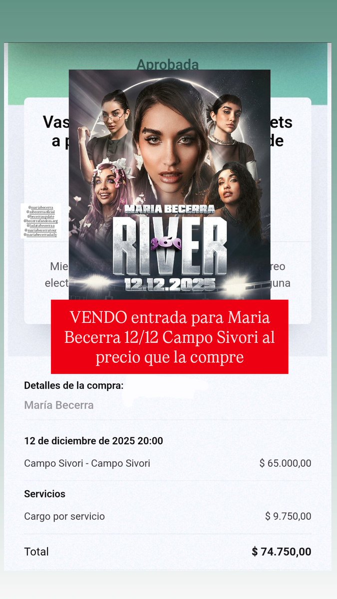 vicky_crespoo's tweet photo. VENDO entrada para Maria Becerra 12/12 campo sivori https://t.co/iKT2IcLG4i