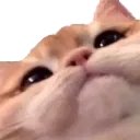 ๖̶̶̶ζ͜͡Morgeins Le Fay 🥀 tweet media