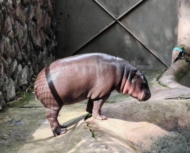 Jack Napier (@jacknapiernot) on Twitter photo 