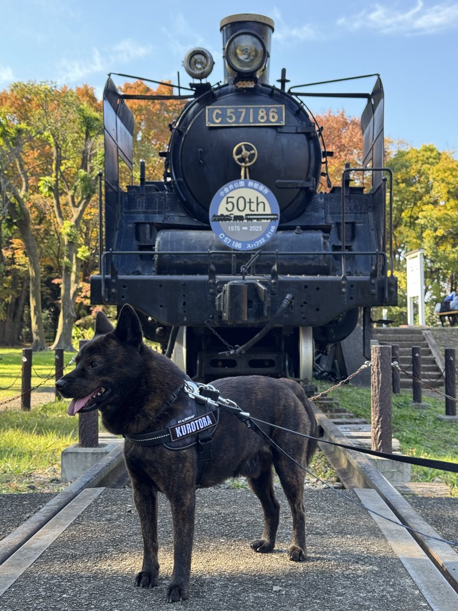 甲斐犬𓃢黒虎𓃡 (@kaiken_kurotora) / Posts / X