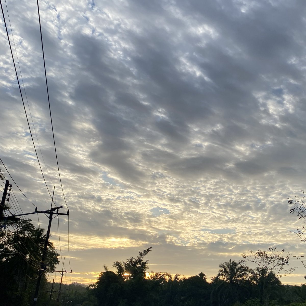 ✨อรุณหนึบหนับ✨
ช่วงนี้อากาศหนาว อย่าลืมดูแลตัวเองกันด้วย
อย่าป่วยน๊าทุกคน🫵🏻🫶🏻
#sky_aikon