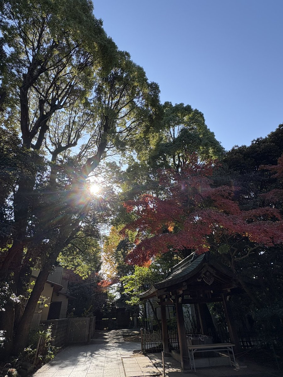 きのぴー きのぴー (@kinopi_inclue) / Posts / X