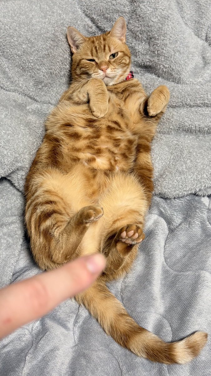 モコモコラブくん