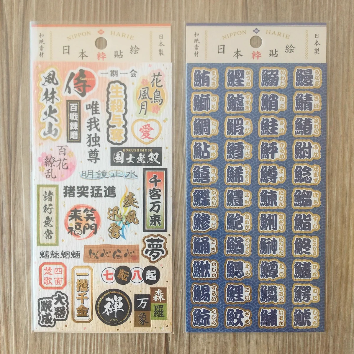活動歴および当時の関連ビジュアル記録