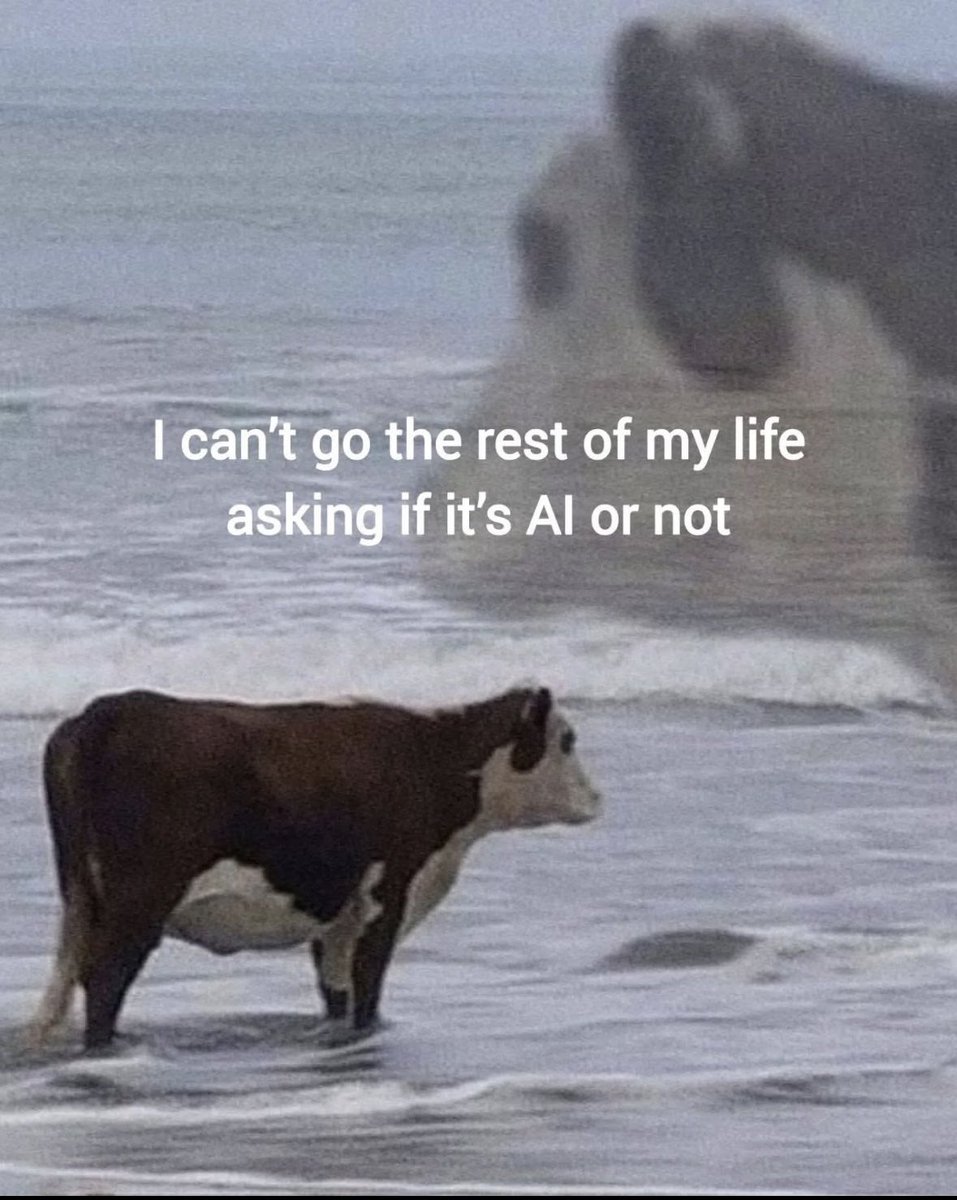 ADHDForReal's tweet image. 