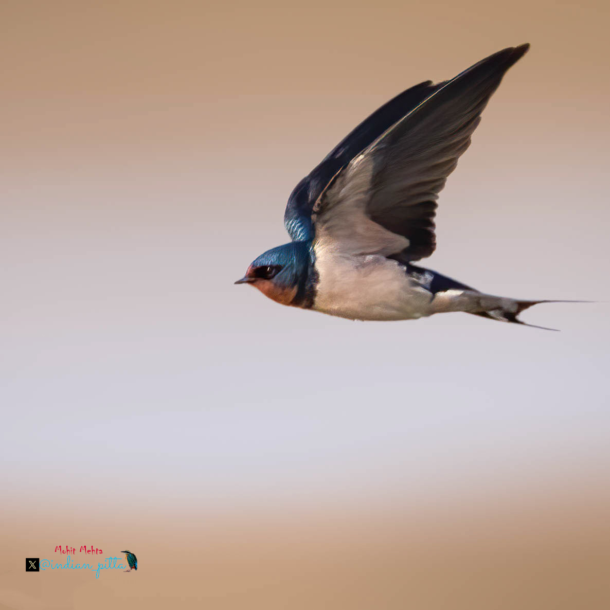 Mohit Mehta tweet media