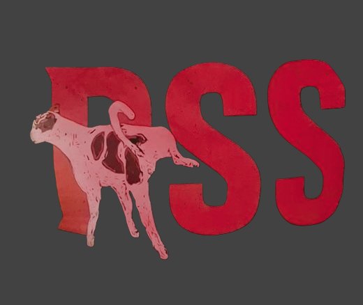 TheIncNews's tweet image. हम इसकी कड़ी निंदा करता हूं!

इस कुता में जल्द से जल्द जेल में डाल देना चाहिए 😄