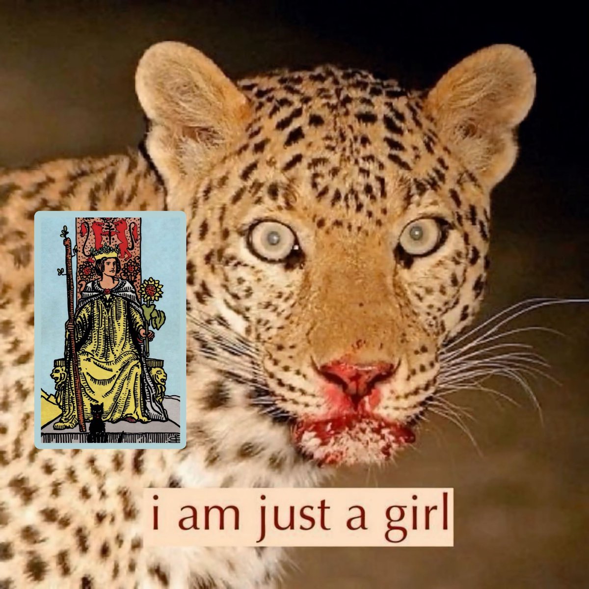 karlaecaos's tweet image. 