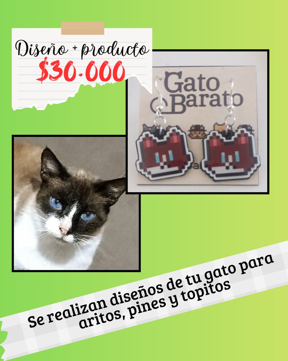 Gato Barato tweet media