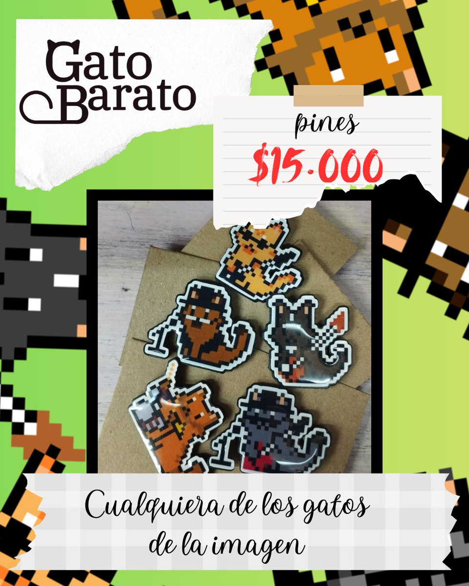 Gato Barato tweet media