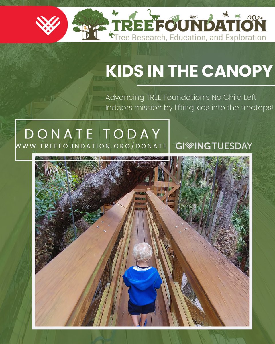 TREE Foundation tweet media