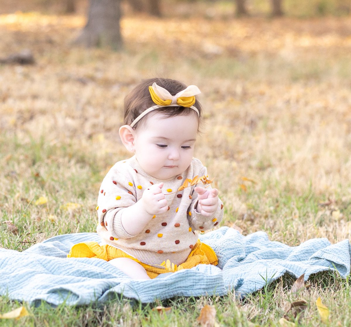 The White Snake tweet media