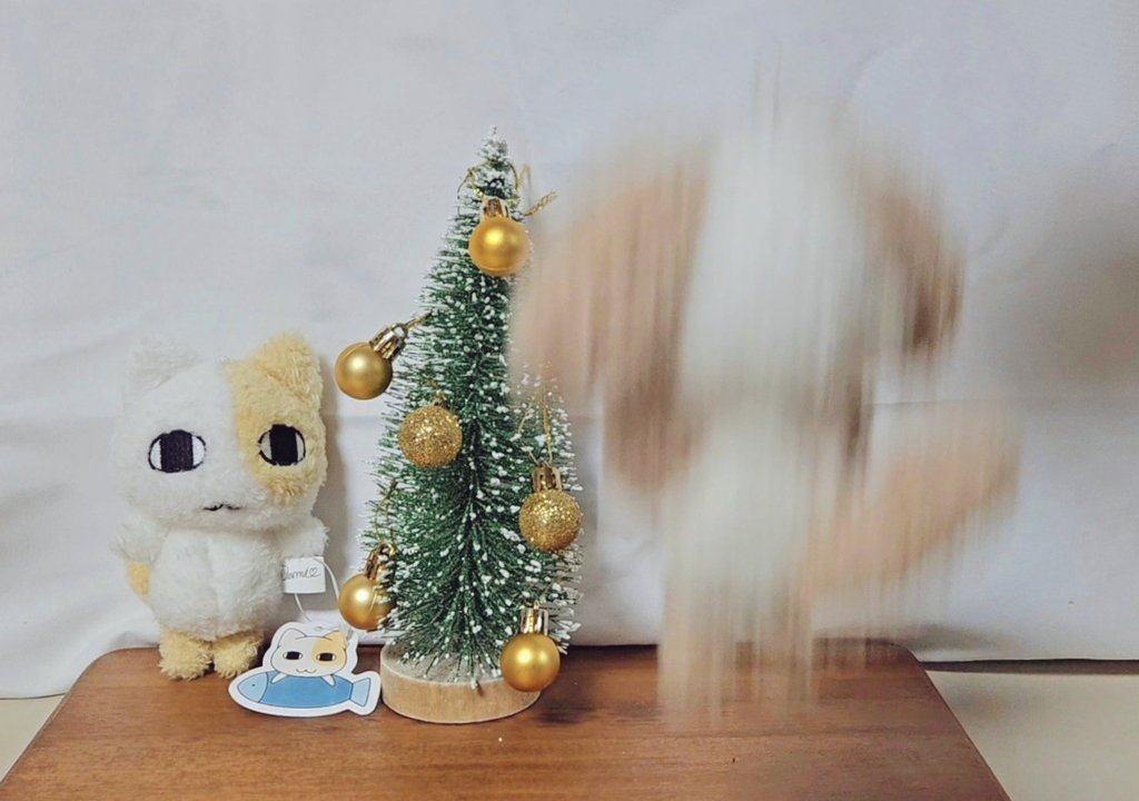 m0o0mg's tweet image. 폴짝 - !!