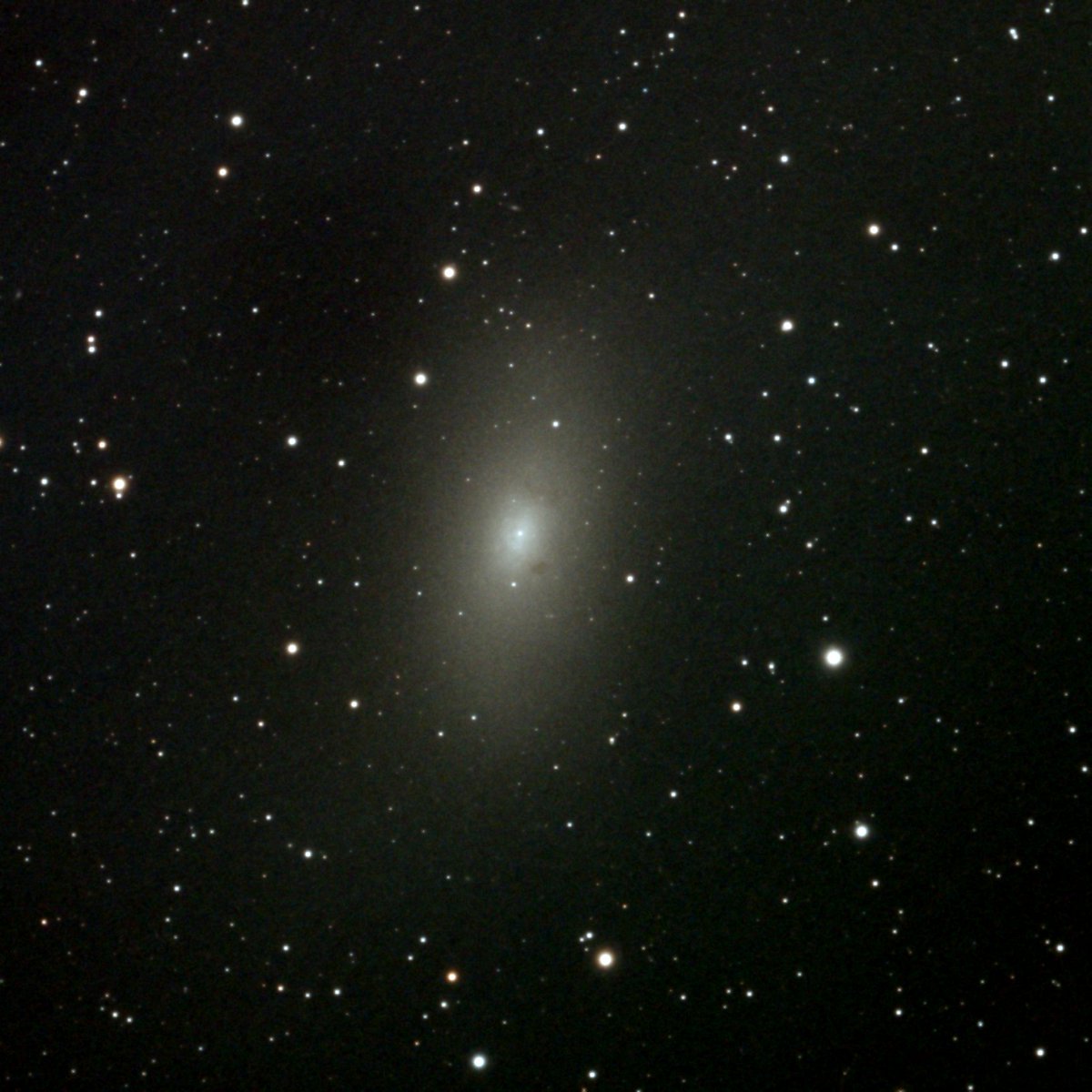 Astro_Creator's tweet photo. #天体写真 #M110 #アンドロメダ座 #伴銀河 #楕円銀河

M110 (NGC205)_アンドロメダ座
地球からの距離：約290万光年 (約0.29Mpc)
視等級：8.07等
分類：楕円銀河

撮影機材
鏡筒：TSA-120 
赤道儀：SXP2
カメラ：ZWO ASI533MCPro
撮影/ガイド：NINA 、PHD2
撮影方法：直焦点
総露光時間：60秒✕253 https://t.co/9goZi3Mqte