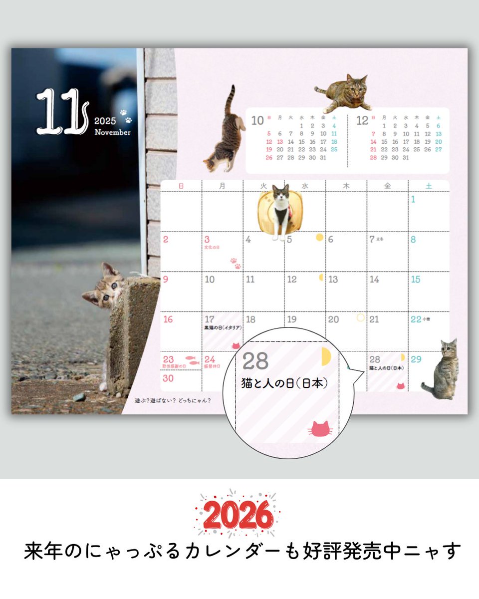 mapple_nyapple_'s tweet photo. 11月28日は猫と人の日！いい(11)にゃ(28)🥰 https://t.co/GU0cxfXzEm