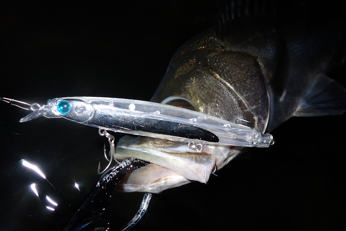 wkzoooooooooono's tweet image. この日はシーバスを狙いにウェーディング釣行へ🌙
フランキー120・ハイスタンダード120Fでシーバスをゲットする事ができました！
残り短い秋のシーズン、まだまだシーバスを狙って釣行したいと思います☺️
@longin2011
#longin
#PR