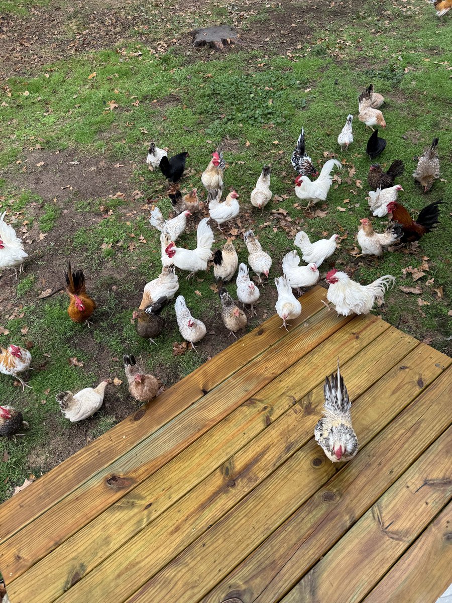 Here is some of them