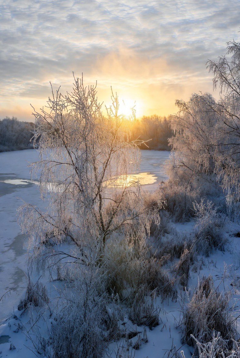 bert_westergard's tweet photo. @SubRosaMagick Shortest Day https://t.co/0effbUbq6B