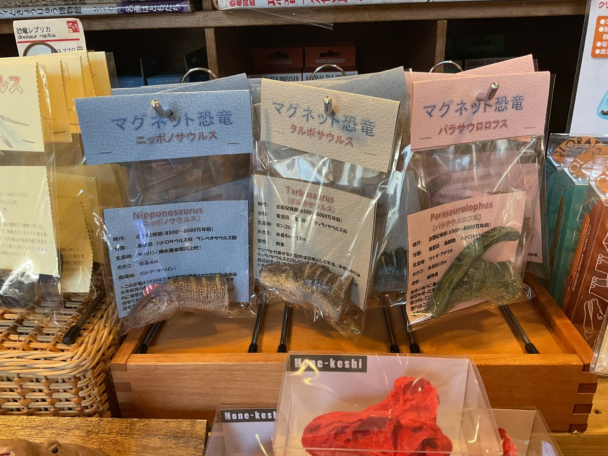 北大総合博物館ミュージアムショップぽとろ tweet media