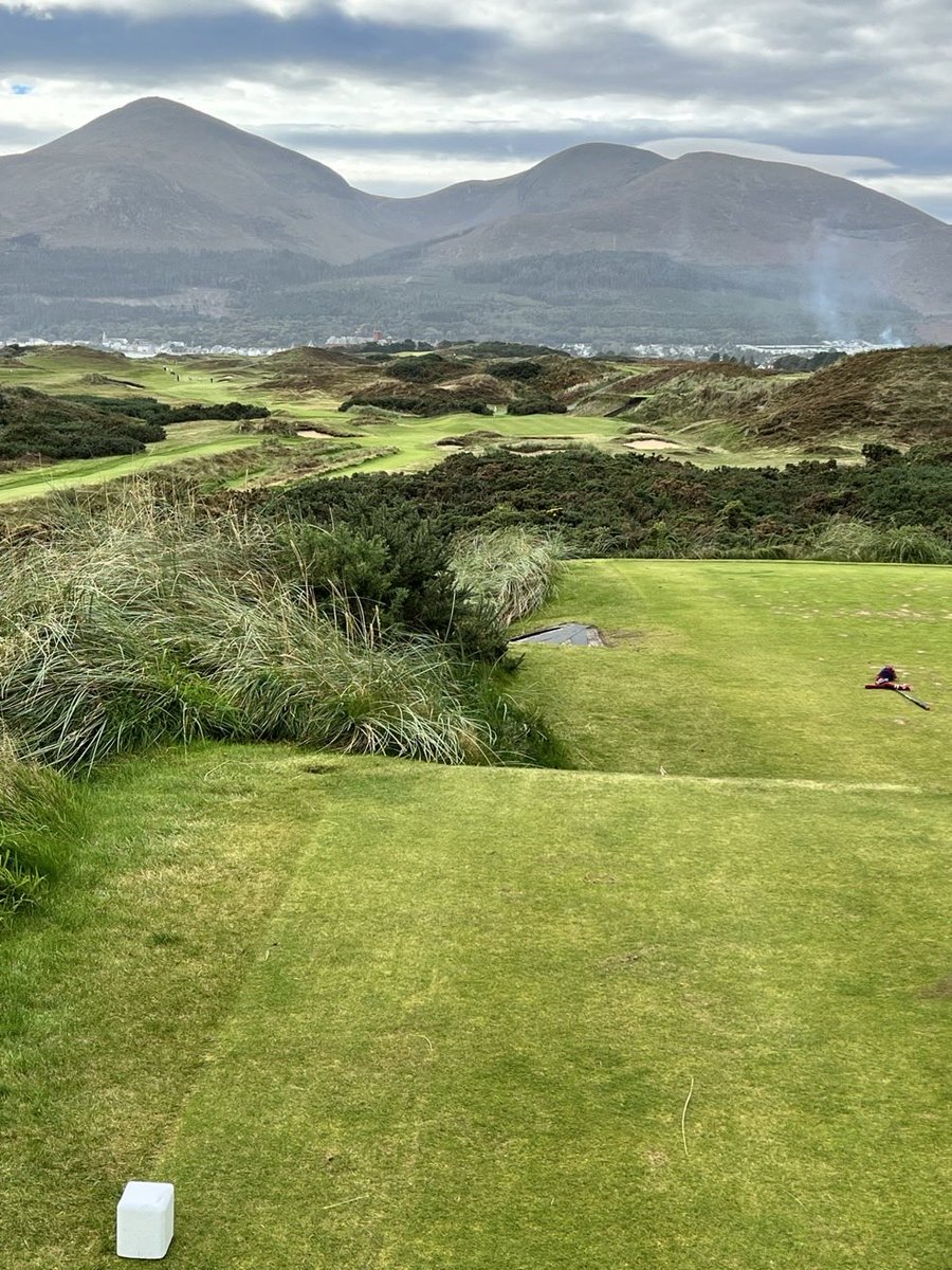 golf course enthusiast tweet media