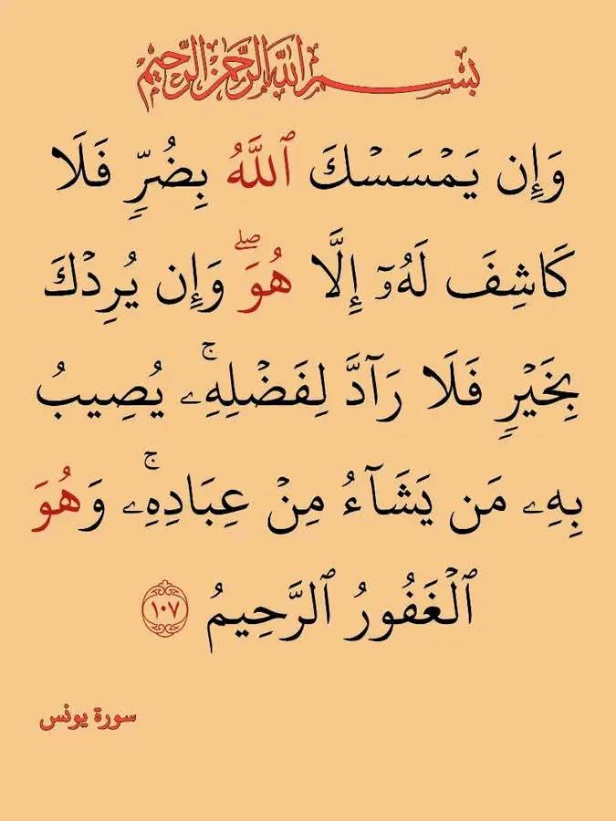 Hasseb (@hassebhh67) on Twitter photo 