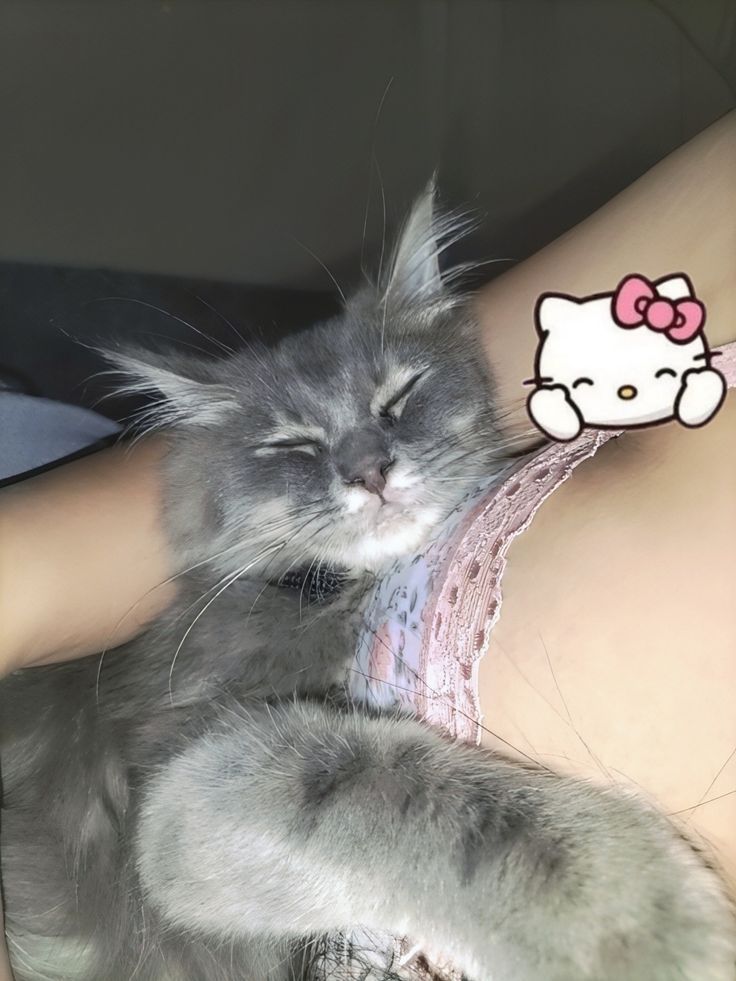 marniii321's tweet image. 😳