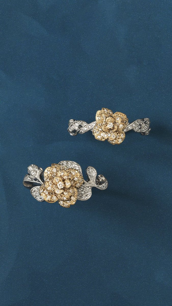 AbHerï〈アベリ〉 (@AbHeri_official) / Posts / X