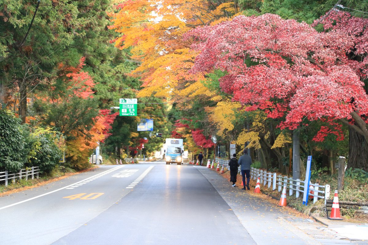 朝晩の冷え込みが強まり冬の気配が漂う11月。 
そんな中、日光市では今の時期でも紅葉を楽しめる場所がございます。 

是非日光で、最後の秋を感じてください。
nikko.4-seasons.jp/info/news_deta…